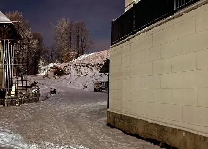 Ivana 아파트 카파오닉